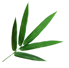 Ningguo Kuntai Bamboo and Wood Co.,Ltd.